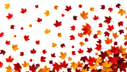 Autumn Leaves Fall from Isolated Maple Trees in the Windy Yellow Environment