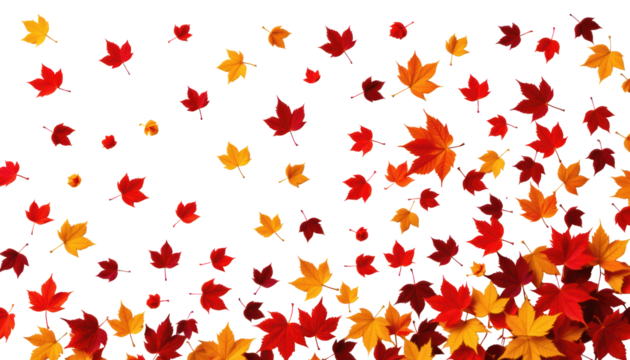 Autumn Leaves Fall from Isolated Maple Trees in the Windy Yellow Environment