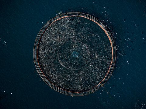 Aerial view of a circular fish farm with a smaller concentric circle inside, floating serenely on the dark, rippling water, Ksamil, Vlore County, Albania.