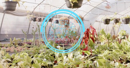 Displaying assorted potted plants and seedling trays inside greenhouse, showing AR graphic overlay