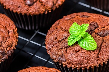Delicious chocolate muffins with fresh mint garnish on a cooling rack