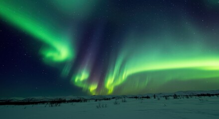 Vibrant green and purple natural light display illuminates a dark, snowy landscape under a starry sky