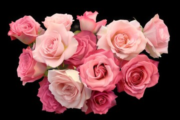 Naklejka premium Elegant Display of Pink Roses A Luxurious Bouquet on Black