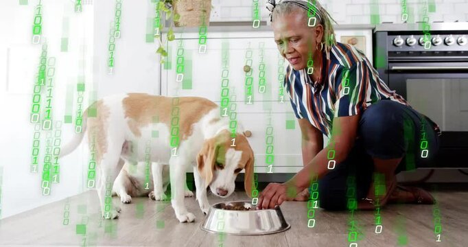 Senior woman placing bowl, guiding dog feeding while green overlay falling across frame, pet care