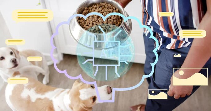 Senior woman holding bowl forward, causing AI overlays, lowering bowl, scooping kibble to dogs