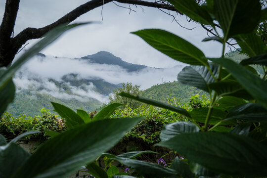View of mist-shrouded mountains rise behind lush greenery, creating a tranquil scene with natural frames in Kyichu Lhakhang temple, Paro, Bhutan.
