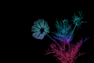 Abstraktes dynamisches futuristisches digitales Kunstwerk ohne Mithilfe von "KI " am PC selbst erstellt	