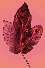 Abstraktes dynamisches futuristisches digitales Kunstwerk ohne Mithilfe von "KI " am PC selbst erstellt	