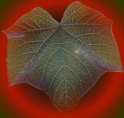 Abstraktes dynamisches futuristisches digitales Kunstwerk ohne Mithilfe von "KI " am PC selbst erstellt	