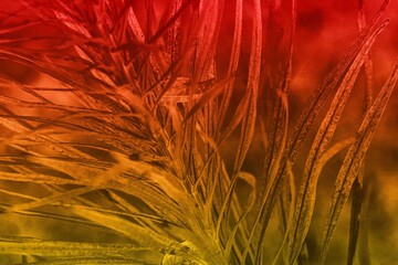 Abstraktes dynamisches futuristisches digitales Kunstwerk ohne Mithilfe von "KI " am PC selbst erstellt	