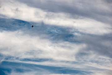 Obraz premium Nubes altas con cristales de hielo a una altura de 7 a 12 kim, con un cuervo volando