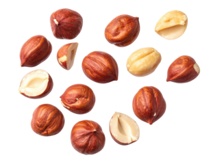 Close-up of various nuts with brown husks and kernels on a dark background