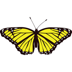 Bright Yellow Butterfly With Black Veins And White Spots On Its Wings Displayed On A Transparent Background Isolated
