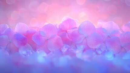 A bunch of pink and blue flowers with water droplets on them