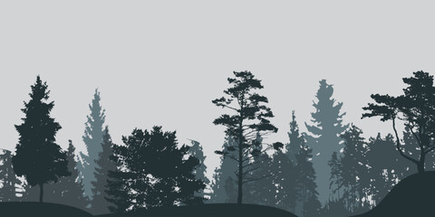 Dense forest silhouette with various evergreen trees under a soft, light grey sky