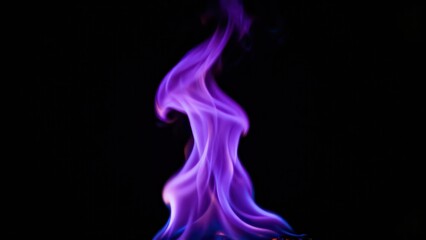 Obraz premium Vibrant purple flame dances upward against a stark black background
