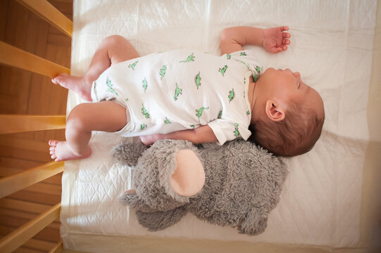 A newborn baby lies on their side, wrapped in a soft onesie, peacefully asleep next to a cuddly grey stuffed animal in a warm crib. Sunlight fills the room gently