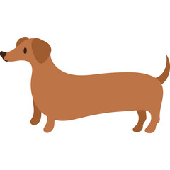 Brown Dachshund Dog Standing Full Body Profile Simple Flat Illustration No Background Isolated Animal Pet