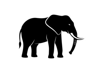 Silhouette of an african elephant with tusks