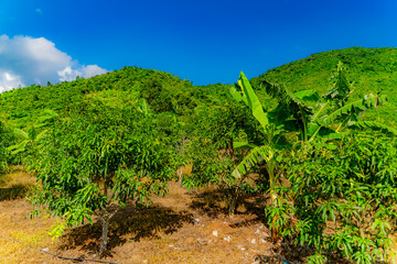 Obraz premium Highlands.Mountainous areas near Nha Trang in Vietnam. 