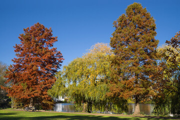 Am Eichenpark HAmburg Harvestehude