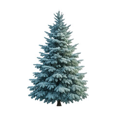 Fototapeta premium PNG Realistic snowy evergreen tree