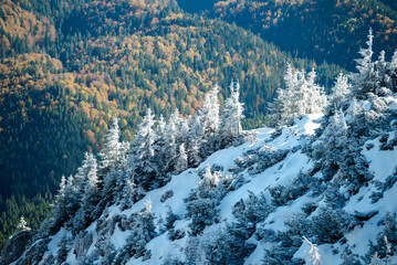 snow covered mountains