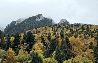 autumn in the mountains