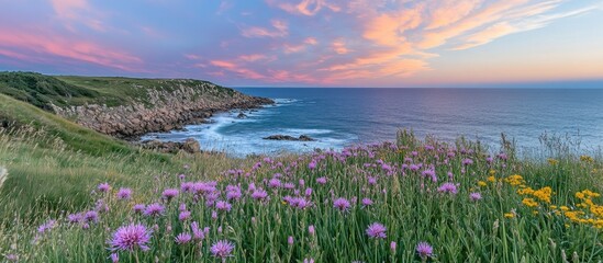 Coastal Meadow at Dusk: Purple Flowers, Rocky Cliffs, and Pink-Streaked Sky