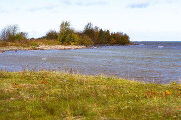 A tranquil autumn waterfront scene featuring trees and a rocky shore along the seacoast. Natural landscape featuring a grassy meadow foreground and a small peninsula with fall colours and a water view