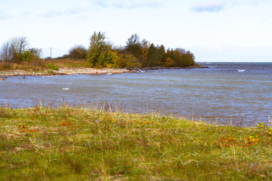 A tranquil autumn waterfront scene featuring trees and a rocky shore along the seacoast. Natural landscape featuring a grassy meadow foreground and a small peninsula with fall colours and a water view