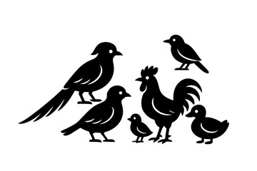 Fototapeta premium Collection of poultry birds such as rooster, duck and songbird vector illustration