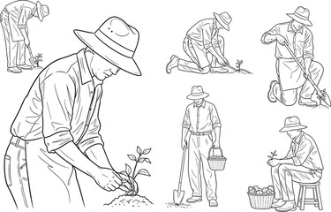 Illustrations showing farmer man working in the garden, planting and caring for young crops, depicting various essential agricultural activities, outline drawing.