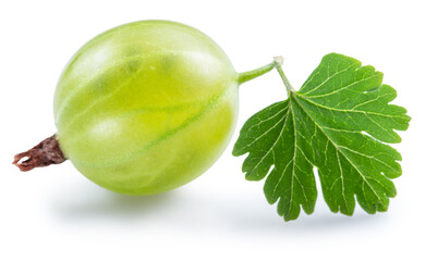 Ripe green gooseberry with leaf on white background. File contains clipping path.