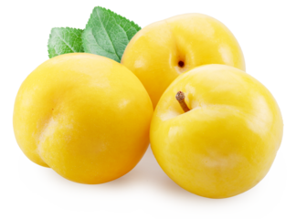 Ripe yellow chinese plums with green leaves isolated on white background. File contains clipping paths.