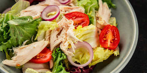 Salad chicken meat and vegetables tomato, green leaf lettuce, onion natural product tasty snack fresh delicious gourmet food background on the table rustic top view copy space keto and paleo diet