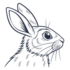 Detailed outline sketch of a rabbit's head in profile bunny hare