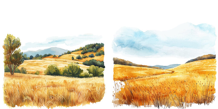 golden weath field watercolor vector illustration