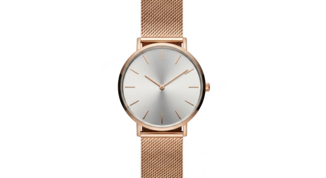 Elegant oval rose gold mesh band watch isolated on transparent background