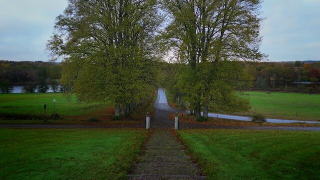 Symmetrical Drone View of Tree-Lined Road Naas near Alings&aring;s, Sweden