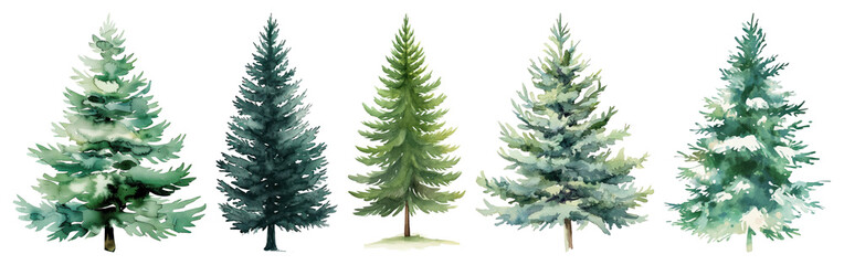 Obraz premium PNG Watercolor evergreen trees illustration, element set on transparent background