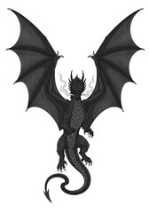 vector illustration of a dragon