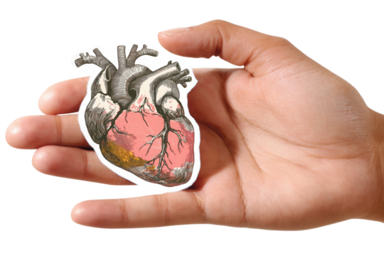 Heart wrapped fragile handle with care, artistic vintage collage mixing monochrome photography with packaging textures and red typography