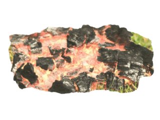 .Burned old photograph memory, cinematic nostalgic still life