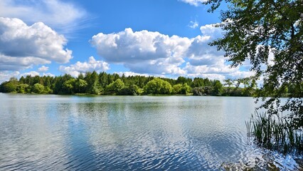 Willows and birches grow on the grassy shores of the lake. The branches bend over the water. Reeds...