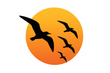 Flying birds silhouette against setting sun, symbolizing freedom, nature, and migration with transparent background