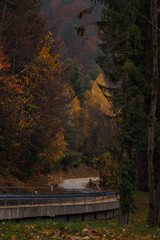 Winding concrete corridor with metal sides in autumn woods at twilight