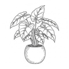 Sketch of a potted tropical plant isolated on white background