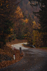 Winding concrete corridor with metal sides in autumn woods at twilight