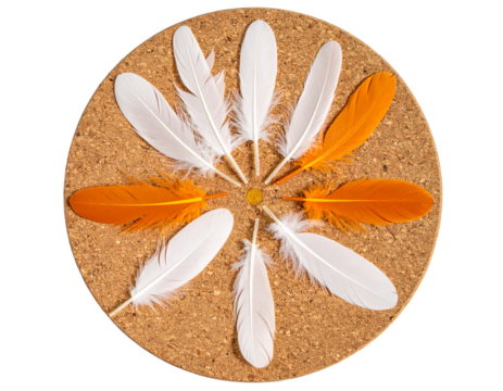 Top-Down View of White and Orange Feathered Shuttlecock, isolated on transparent background.